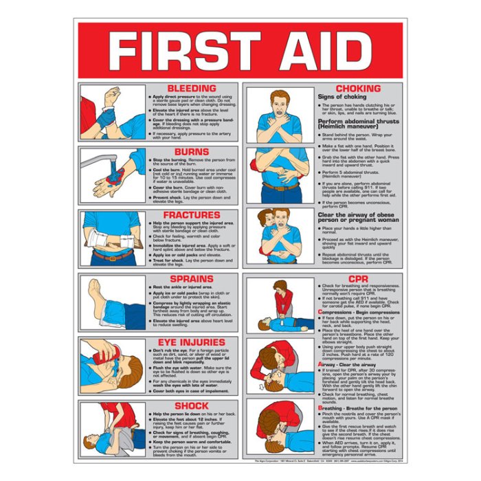 Hosa cpr and first aid practice test