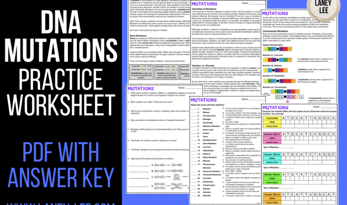 Mutation practice worksheet answer key