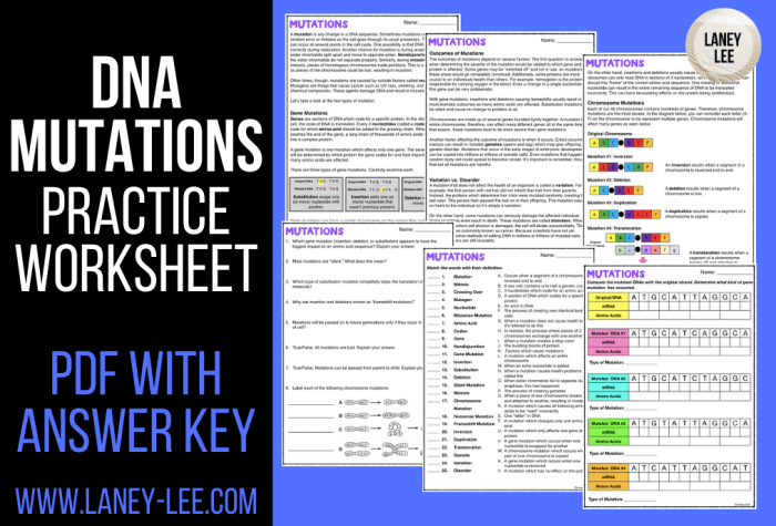 Mutation practice worksheet answer key