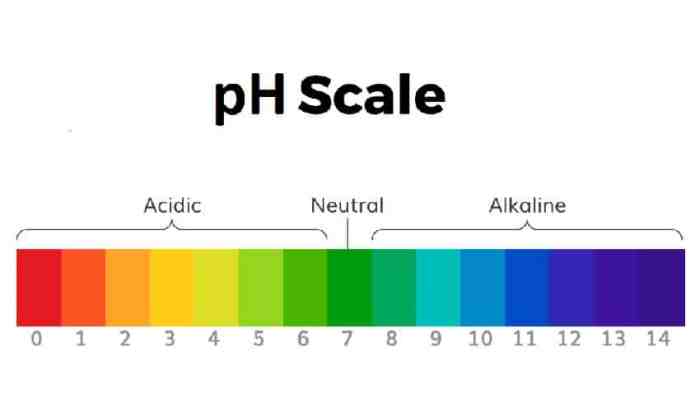 On-the-scalp lighteners have a ph of: