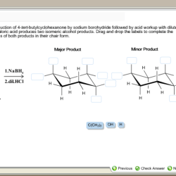 Melting point of 4 tert butylcyclohexanone