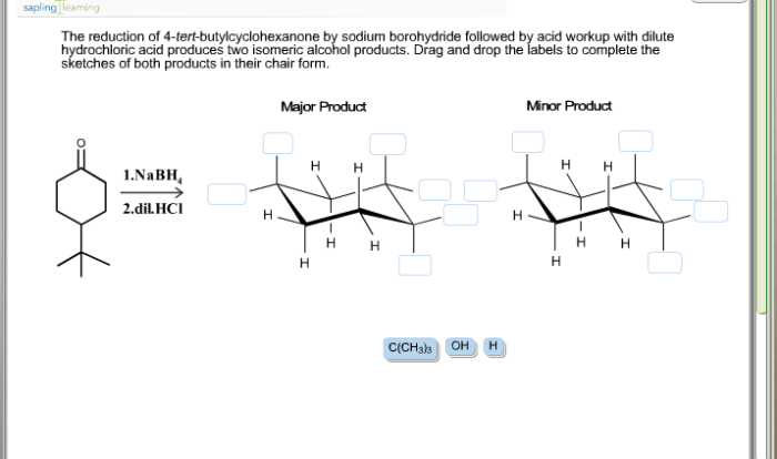 Melting point of 4 tert butylcyclohexanone