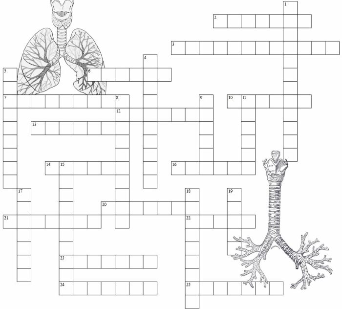 The solar system crossword puzzle answer key